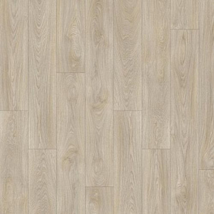 фото Дуб Лавровый (Laurel Oak 51222)